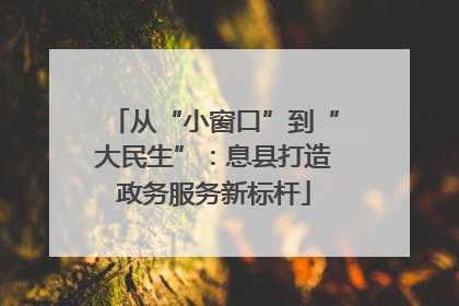 从“小窗口”到“大民生”：息县打造政务服务新标杆